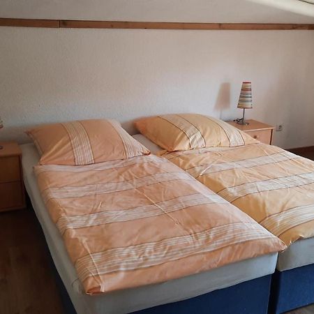 Schoenermarker Pferdeparadies Niederlandin المظهر الخارجي الصورة
