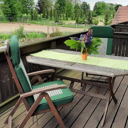 Schoenermarker Pferdeparadies Niederlandin المظهر الخارجي الصورة
