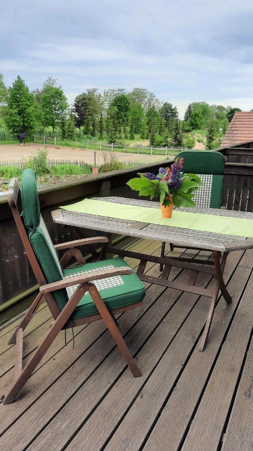 Schoenermarker Pferdeparadies Niederlandin المظهر الخارجي الصورة